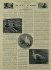Illustrated London News Saturday 24 September 1927 Page 16