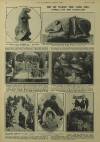Illustrated London News Saturday 15 February 1930 Page 25