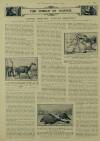 Illustrated London News Saturday 07 February 1931 Page 23