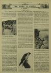 Illustrated London News Saturday 28 February 1931 Page 6