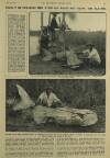 Illustrated London News Saturday 22 August 1931 Page 26