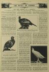 Illustrated London News Saturday 29 August 1931 Page 23
