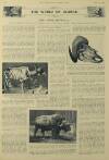 Illustrated London News Saturday 12 September 1931 Page 23