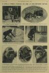 Illustrated London News Saturday 12 September 1931 Page 28