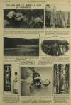 Illustrated London News Saturday 19 September 1931 Page 11