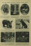 Illustrated London News Saturday 03 October 1931 Page 19