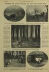 Illustrated London News Saturday 12 December 1931 Page 20