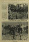 Illustrated London News Saturday 12 December 1931 Page 25