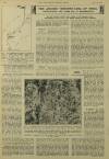 Illustrated London News Saturday 19 December 1931 Page 13