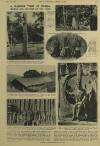 Illustrated London News Saturday 26 December 1931 Page 24