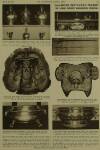 Illustrated London News Saturday 18 March 1933 Page 20