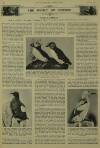 Illustrated London News Saturday 13 May 1933 Page 24