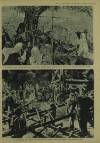 Illustrated London News Saturday 31 August 1935 Page 16