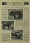 Illustrated London News Saturday 22 February 1936 Page 17