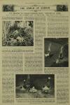 Illustrated London News Saturday 04 July 1936 Page 10