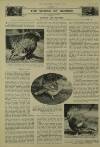 Illustrated London News Saturday 31 July 1937 Page 10