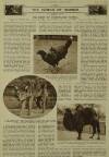 Illustrated London News Saturday 12 March 1938 Page 30