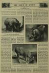 Illustrated London News Saturday 30 April 1938 Page 38