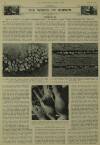 Illustrated London News Saturday 16 September 1939 Page 33