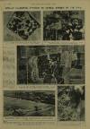 Illustrated London News Saturday 01 July 1944 Page 7