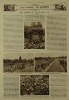 Illustrated London News Saturday 01 September 1945 Page 21