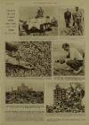 Illustrated London News Saturday 22 September 1945 Page 5