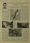 Illustrated London News Saturday 01 June 1946 Page 7