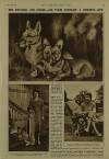 Illustrated London News Saturday 22 November 1947 Page 10