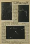 Illustrated London News Saturday 02 April 1949 Page 25