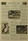 Illustrated London News Saturday 16 July 1949 Page 26