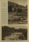 Illustrated London News Saturday 06 August 1949 Page 11