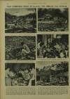 Illustrated London News Saturday 25 February 1950 Page 15