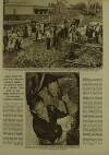 Illustrated London News Saturday 15 April 1950 Page 29