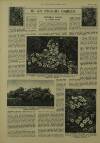 Illustrated London News Saturday 22 April 1950 Page 24
