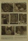 Illustrated London News Saturday 29 July 1950 Page 23