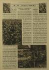 Illustrated London News Saturday 14 June 1952 Page 25