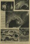 Illustrated London News Saturday 13 December 1952 Page 31