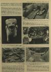 Illustrated London News Saturday 28 February 1953 Page 32