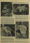 Illustrated London News Saturday 07 March 1953 Page 27
