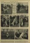Illustrated London News Saturday 07 March 1953 Page 33