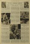 Illustrated London News Saturday 04 July 1953 Page 20