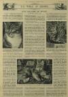Illustrated London News Saturday 27 February 1954 Page 18