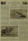 Illustrated London News Saturday 05 March 1955 Page 36