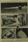 Illustrated London News Saturday 30 July 1955 Page 29
