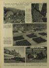 Illustrated London News Saturday 14 April 1956 Page 22