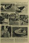 Illustrated London News Saturday 11 August 1956 Page 32