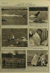 Illustrated London News Saturday 11 January 1958 Page 13