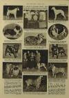 Illustrated London News Saturday 15 February 1958 Page 28