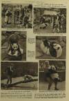 Illustrated London News Saturday 13 September 1958 Page 40