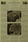 Illustrated London News Saturday 16 April 1960 Page 27